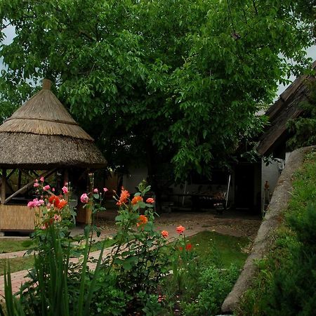 Natura Vendégház Pazmand Exterior foto
